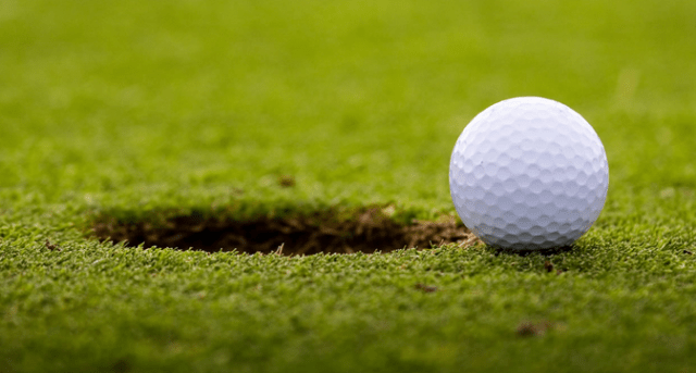 Click on the image to read more...